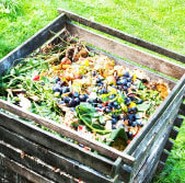 Bacteria for your compost
