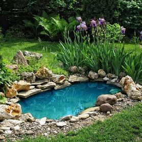 Bio-enzymatic cleaner for your garden POND (summer) 500g