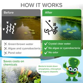Bio-enzymatic cleaner for your garden POND (summer) 500g