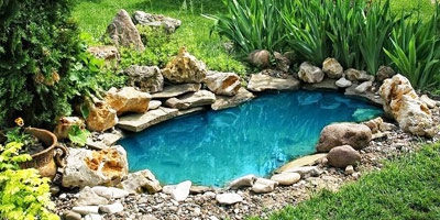 A few tips on how to keep your garden pond clean and clear. Have you heard of bacteria? They work great!!!