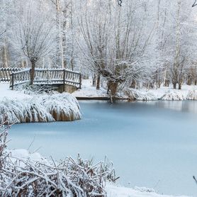 Bio-enzymatic cleaner for optimal WINTERING of your pond with an area of 100m2+ 1000g