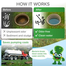 Bio-enzymatic cleaner for your SEPTIC TANK and CESSPOOL 500g